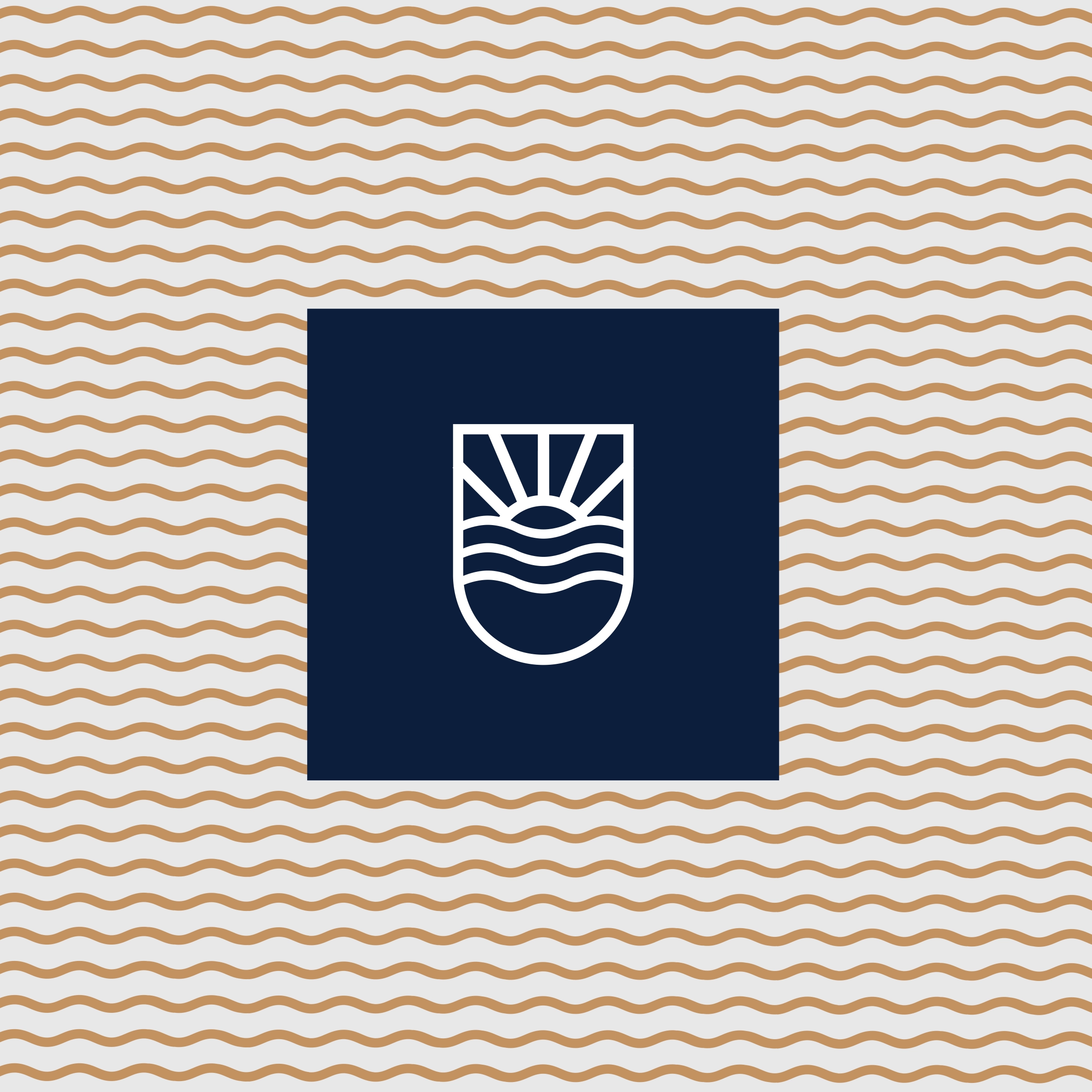 Columbia Funds Investments Logo with Waves Element
