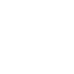 Toyota Logo